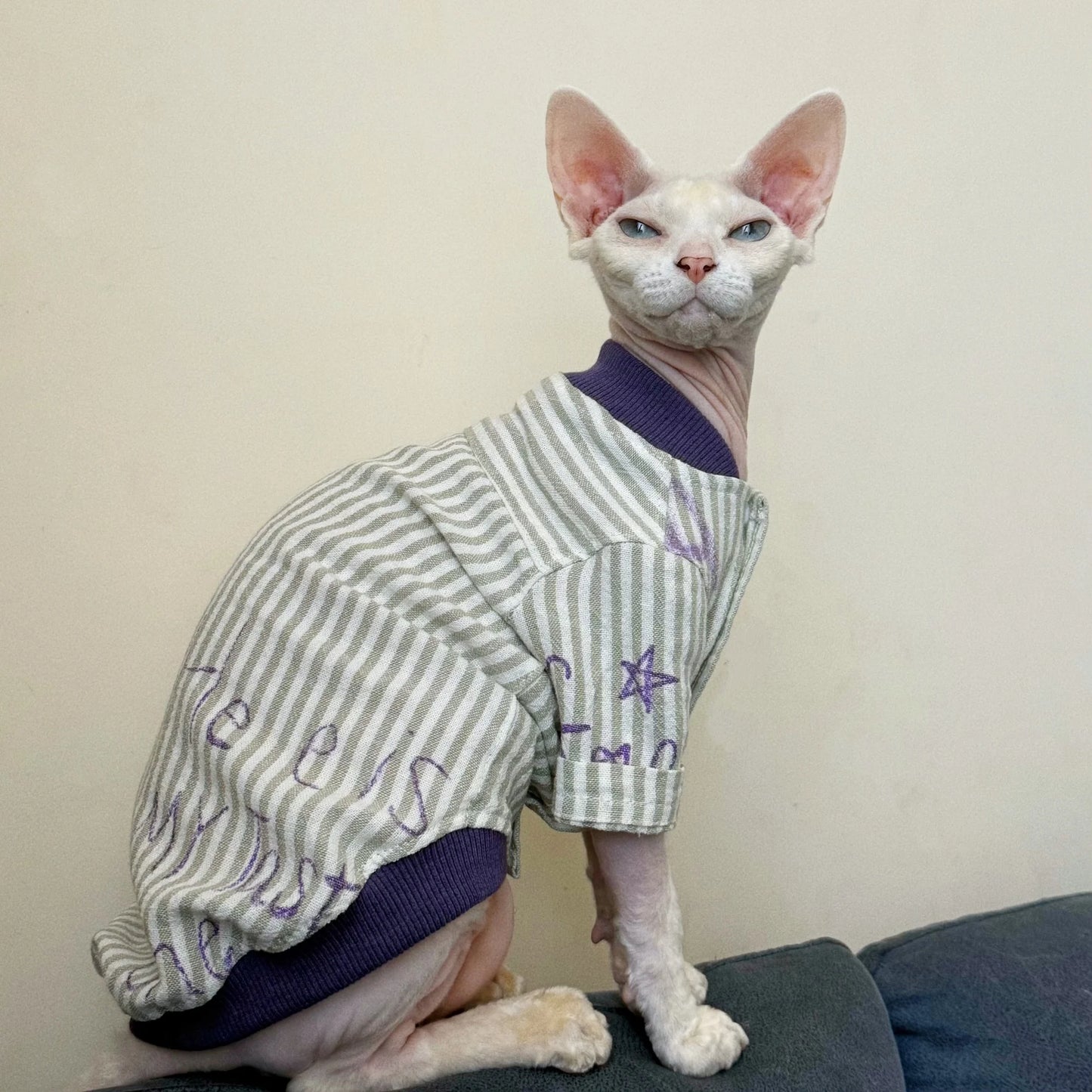Stylish Cotton Baseball Jacket for Sphynx Cats and Kittens