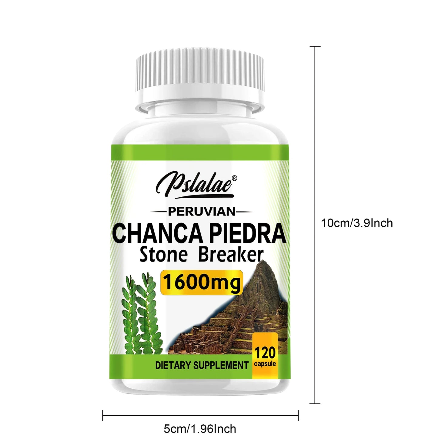 Chanca Piedra 1600mg Capsules | Supports Kidney Health & Detox