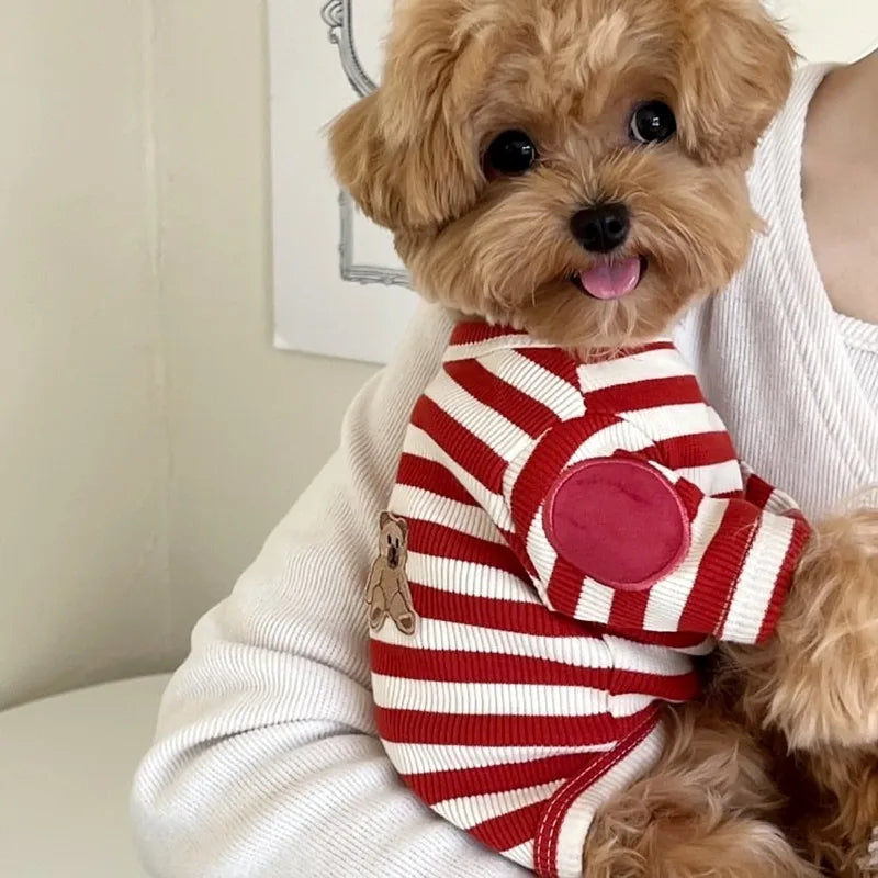 Summer Striped Dog T-Shirt | Cute & Soft Pullover for Small Dogs