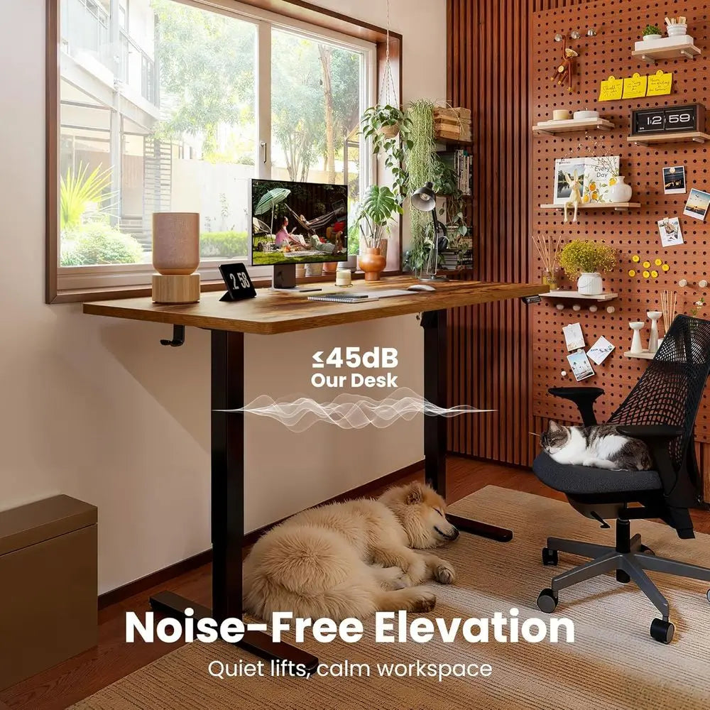 Height Adjustable Electric Standing Desk | Ergonomic Sit-Stand Desk