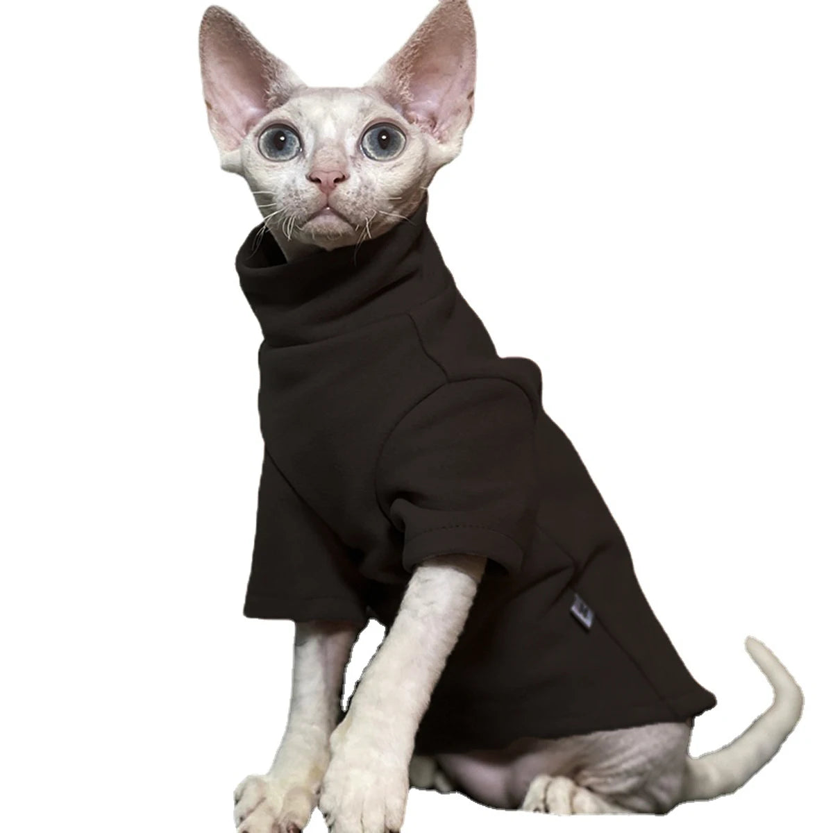 Ropa de Algodón Suave para Gatos Sin Pelo | Atuendos Cómodos y con Estilo