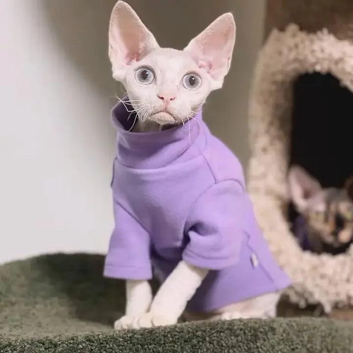 Warm Thermal Underwear for Hairless Cats | Cozy Self-Heating Clothing