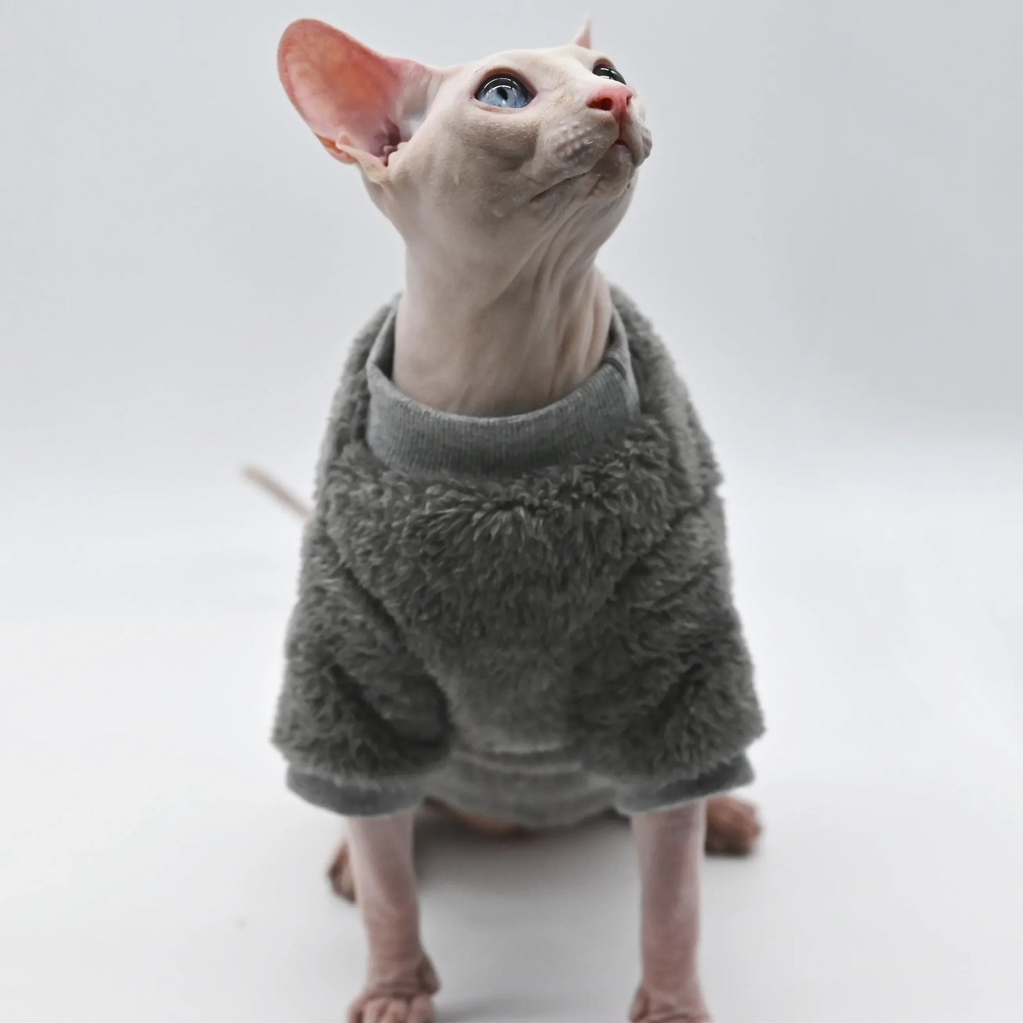 Soft Double-Sided Winter Jacket for Hairless Cats | Cozy Cat Coat