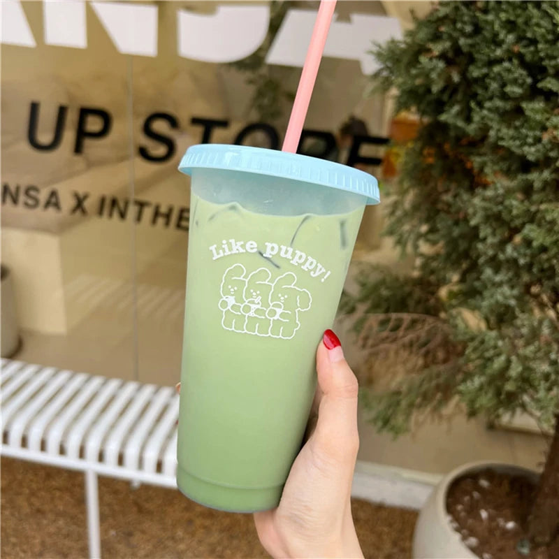 Kawaii Water Bottle | Cute BPA Free Tumbler with Straw