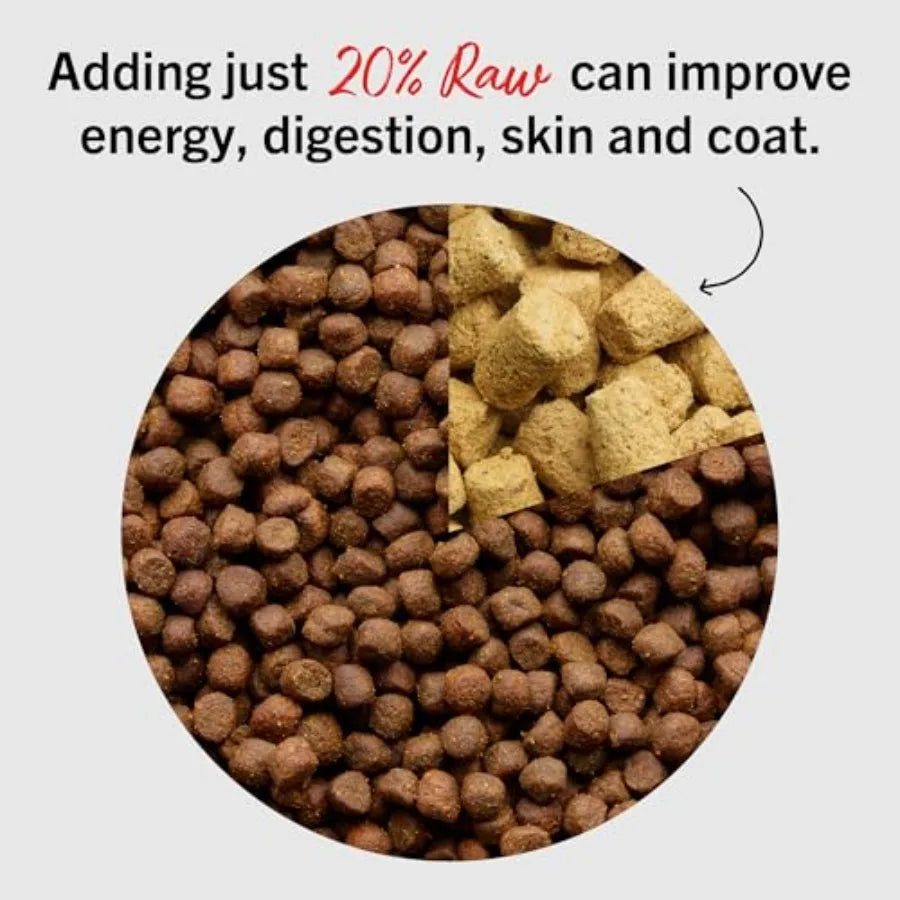 Freeze-Dried Raw Beef Meal Mixers | Premium Dog Food Topper