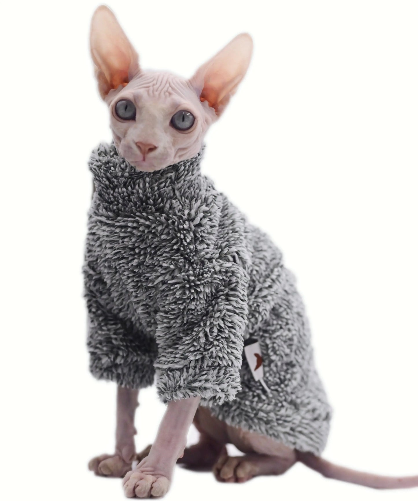Warm Winter Camouflage Clothes for Hairless Cats | Cozy Hoodies