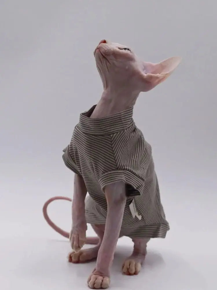 Stylish Cotton Vest for Sphynx Cats | Soft Brown Stripes