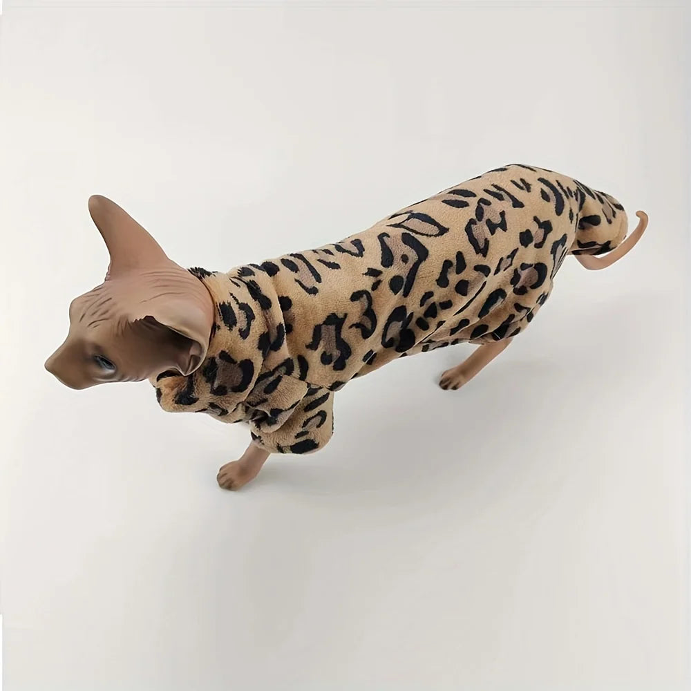Ropa Abrigadora y a la Moda para Gatos Sphynx | Atuendos Cálidos de Invierno
