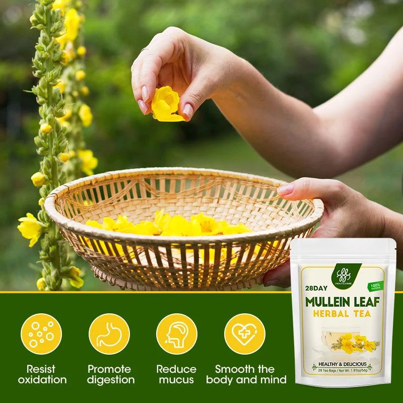 Caffeine Free Mullein Leaf Tea Bags | Lung and Respiratory Support