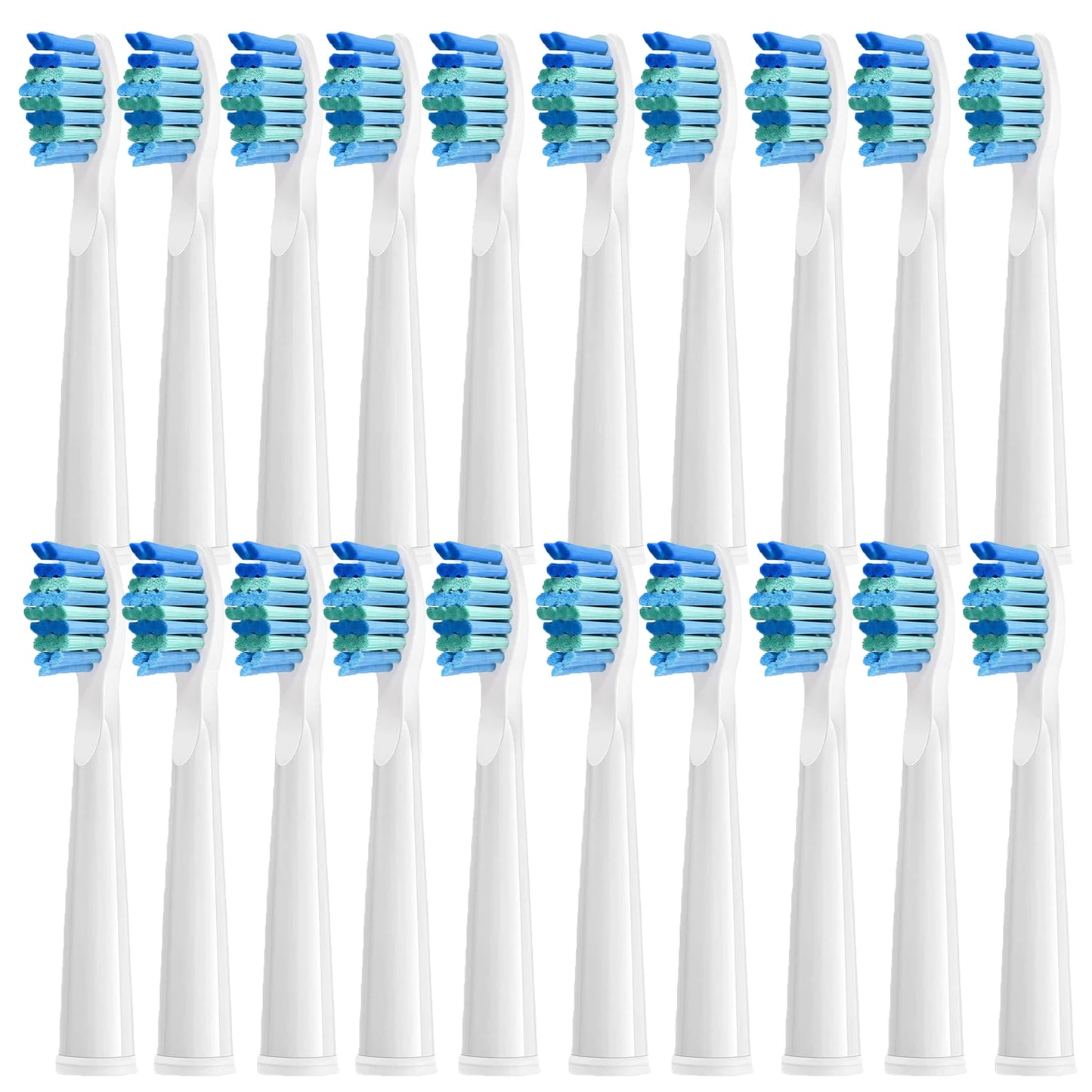 Electric Toothbrush Replacement Heads | Compatible & Affordable