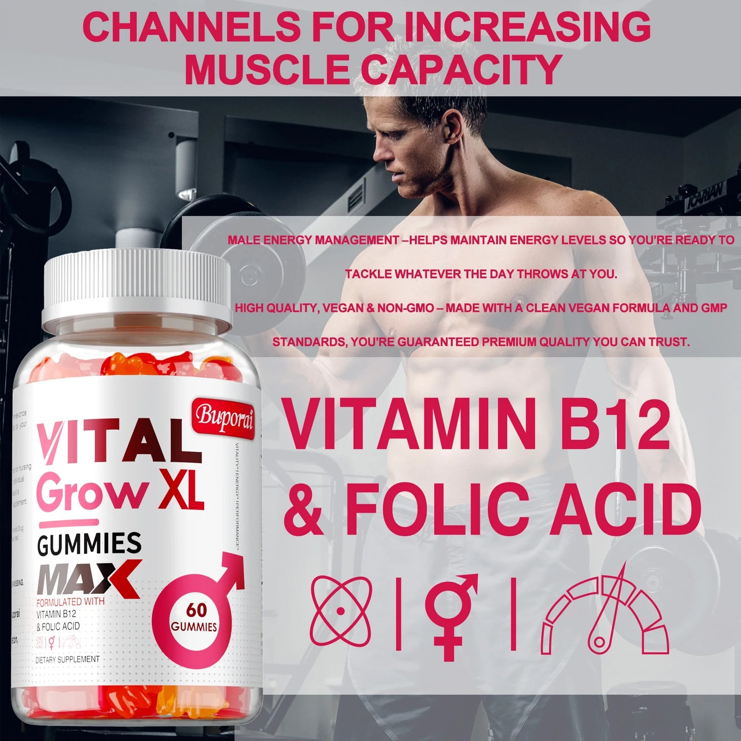 Male Performance Support Gummies | Boost Muscle Growth & Recovery