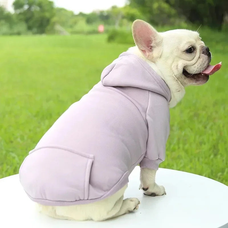 Warm Cotton Hooded Sweatshirts for Pets | Cozy Winter Apparel