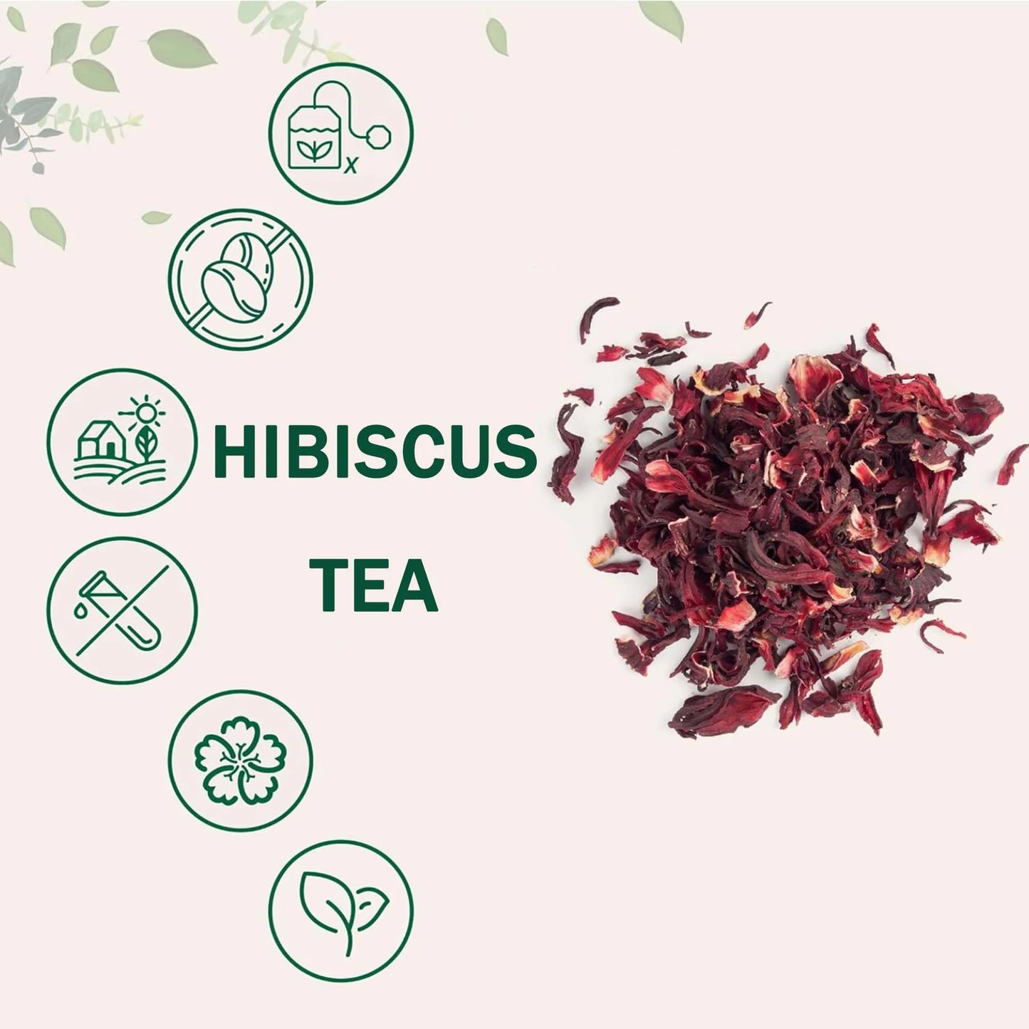 Decaffeinated Herbal Tea Bags | Antioxidant-Rich Luoshen Flower Tea