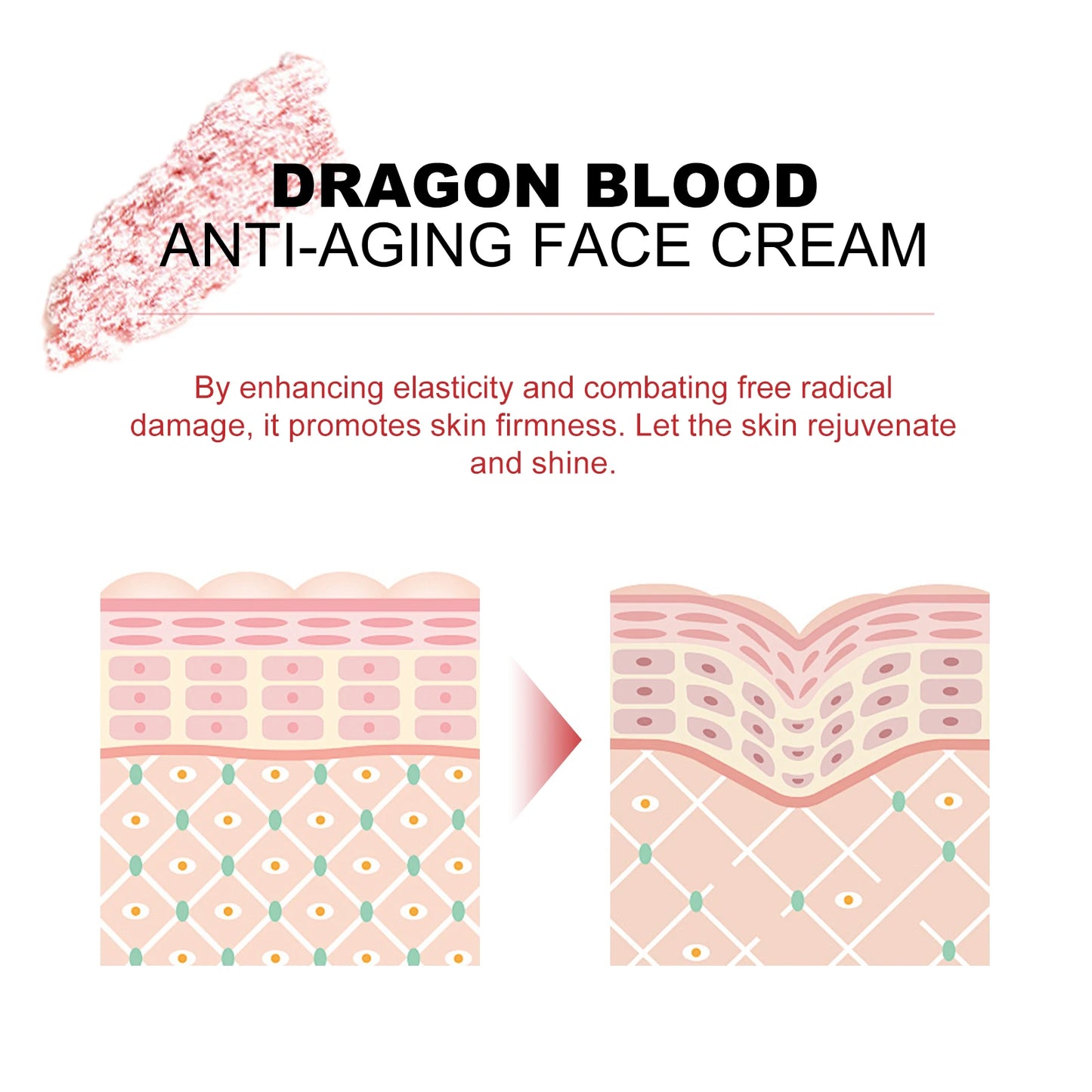 Dragon Blood Face Cream | Moisturizing & Pore Shrinking Rejuvenation