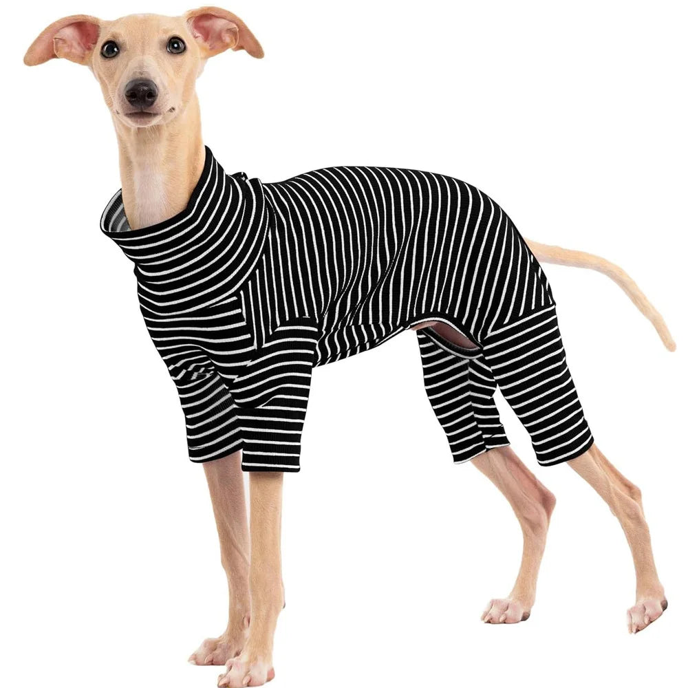 Four Legged Spring Pet Dog Jumpsuit | Comfortable Dog Apparel