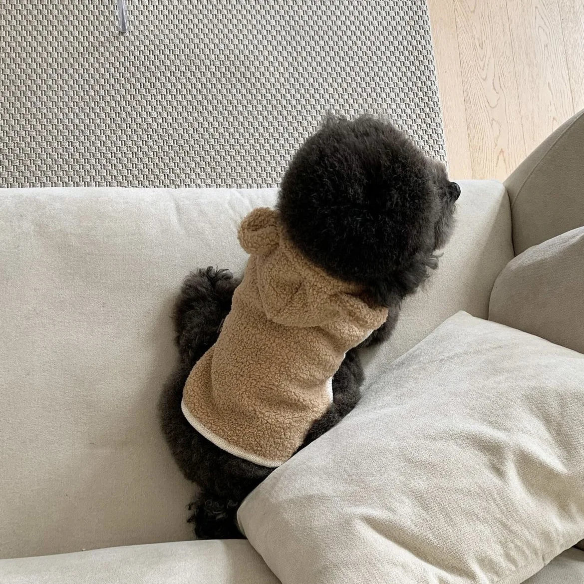 Acogedor chal de lana para perros pequeños y gatos | Ropa de otoño