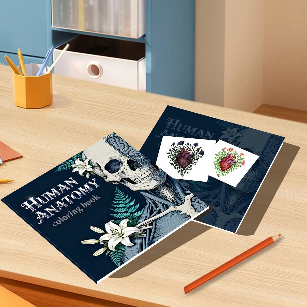 Human Anatomy Coloring Book for Stress Relief and Learning