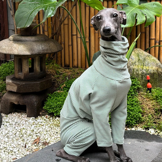 Stylish Striped Velvet Hoodie for Dogs | Warm & Comfortable Wear
