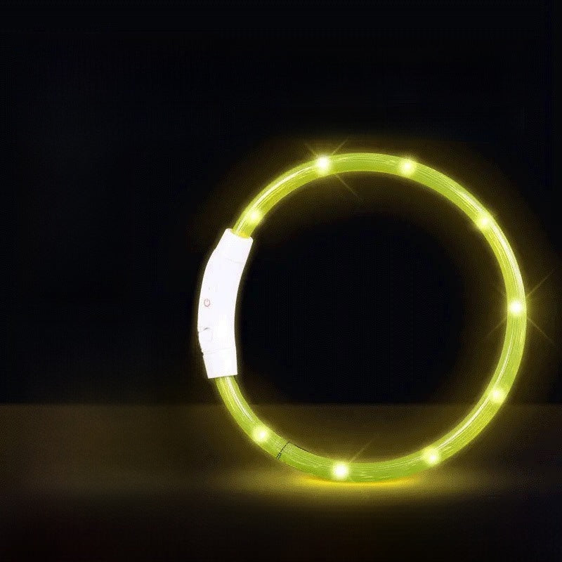 Glowing Dog Collar | Rechargeable LED Safety Neck Accessory