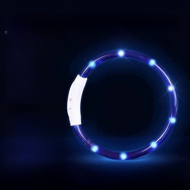 Glowing Dog Collar | Rechargeable LED Safety Neck Accessory