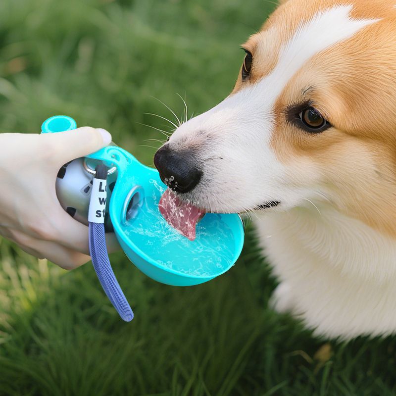 Portable Dog Water Bottle | Hydrate Your Dog on the Go