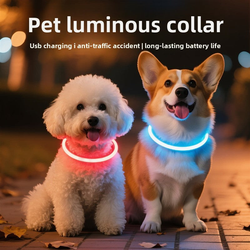 Glowing Dog Collar | Rechargeable LED Safety Neck Accessory
