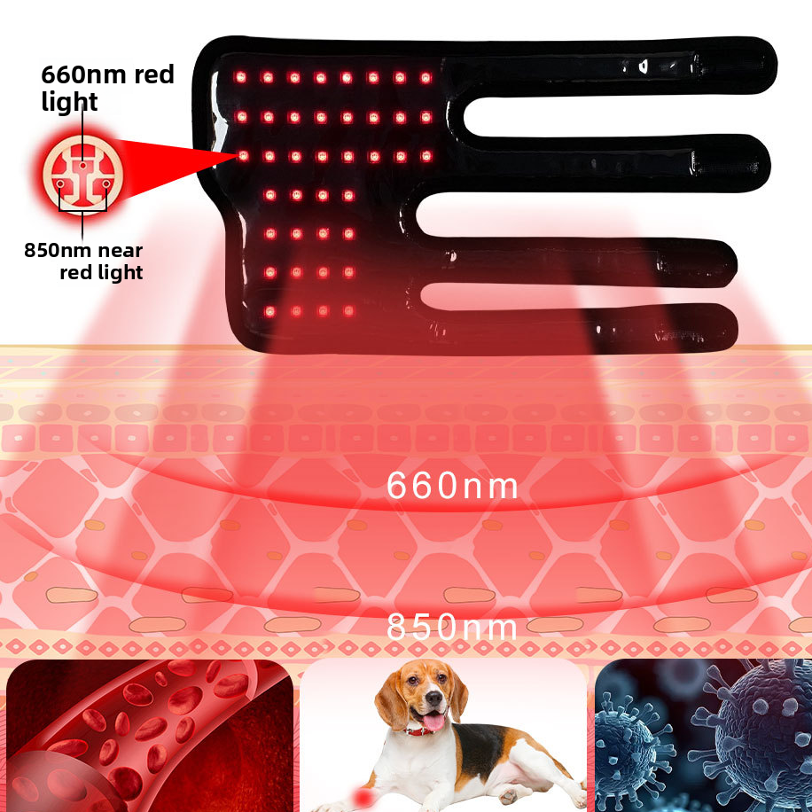 Dog Leg Red Light Therapy Device | Pain Relief & Tissue Repair
