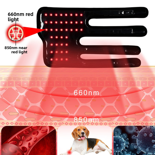 Dog Leg Red Light Therapy Device | Pain Relief & Tissue Repair