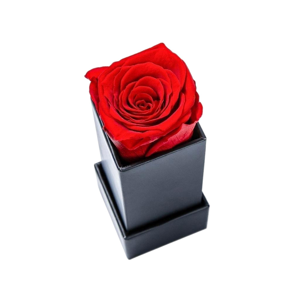 Eternal Silk Rose Gift Box | Luxurious Forever Flowers