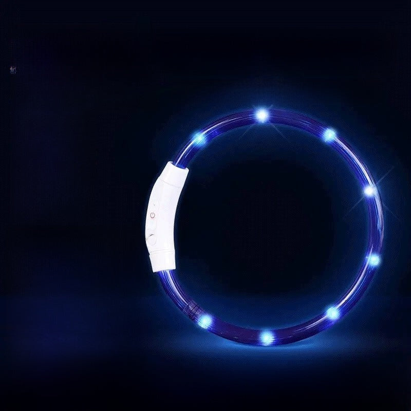 Glowing Dog Collar | Rechargeable LED Safety Neck Accessory