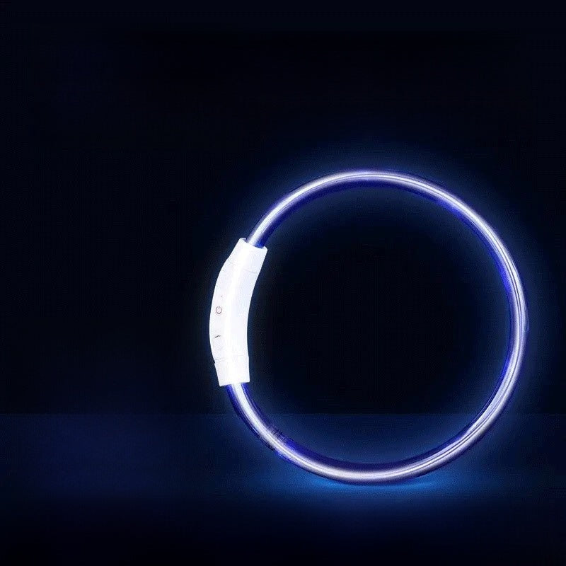 Glowing Dog Collar | Rechargeable LED Safety Neck Accessory