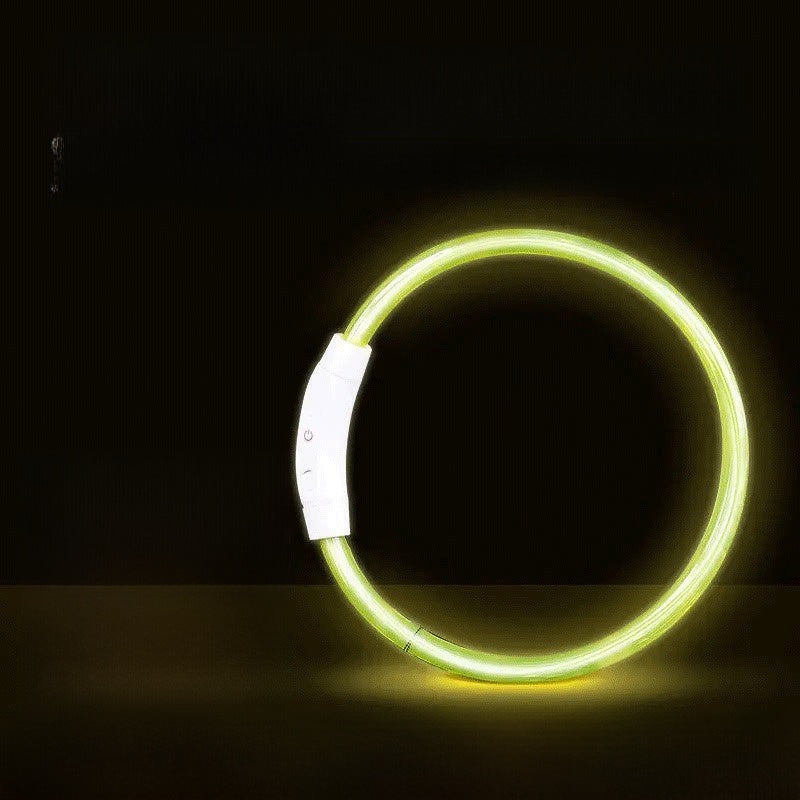 Glowing Dog Collar | Rechargeable LED Safety Neck Accessory