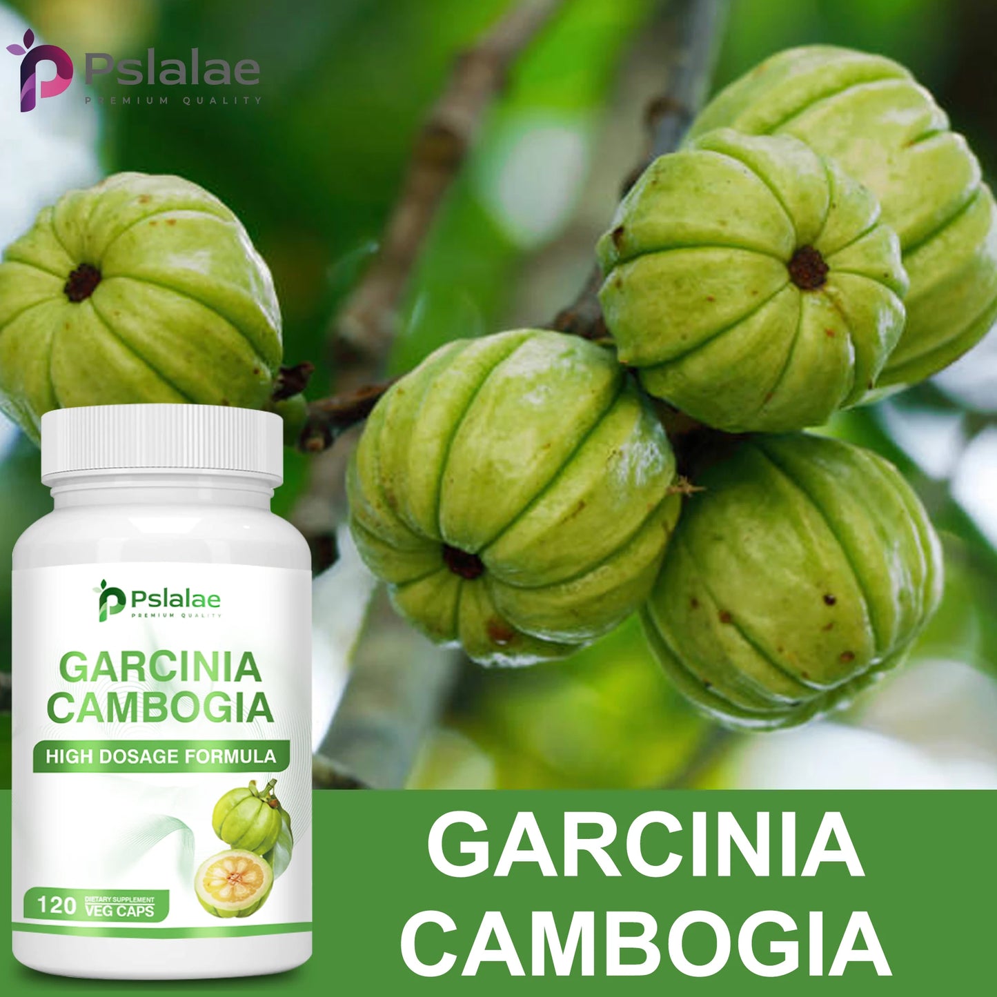Garcinia Cambogia Capsules | Burn Fat & Boost Metabolism