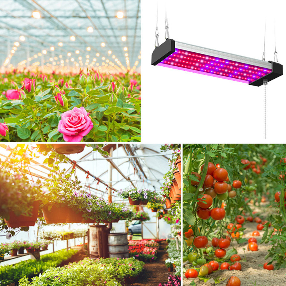 Full Spectrum LED Grow Light | Connectable Indoor Plant Panels