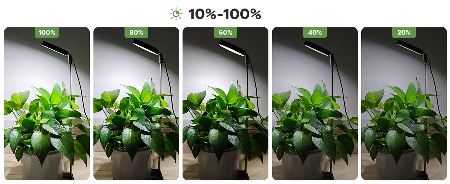 Full Spectrum LED Plant Grow Light for Indoor Gardens