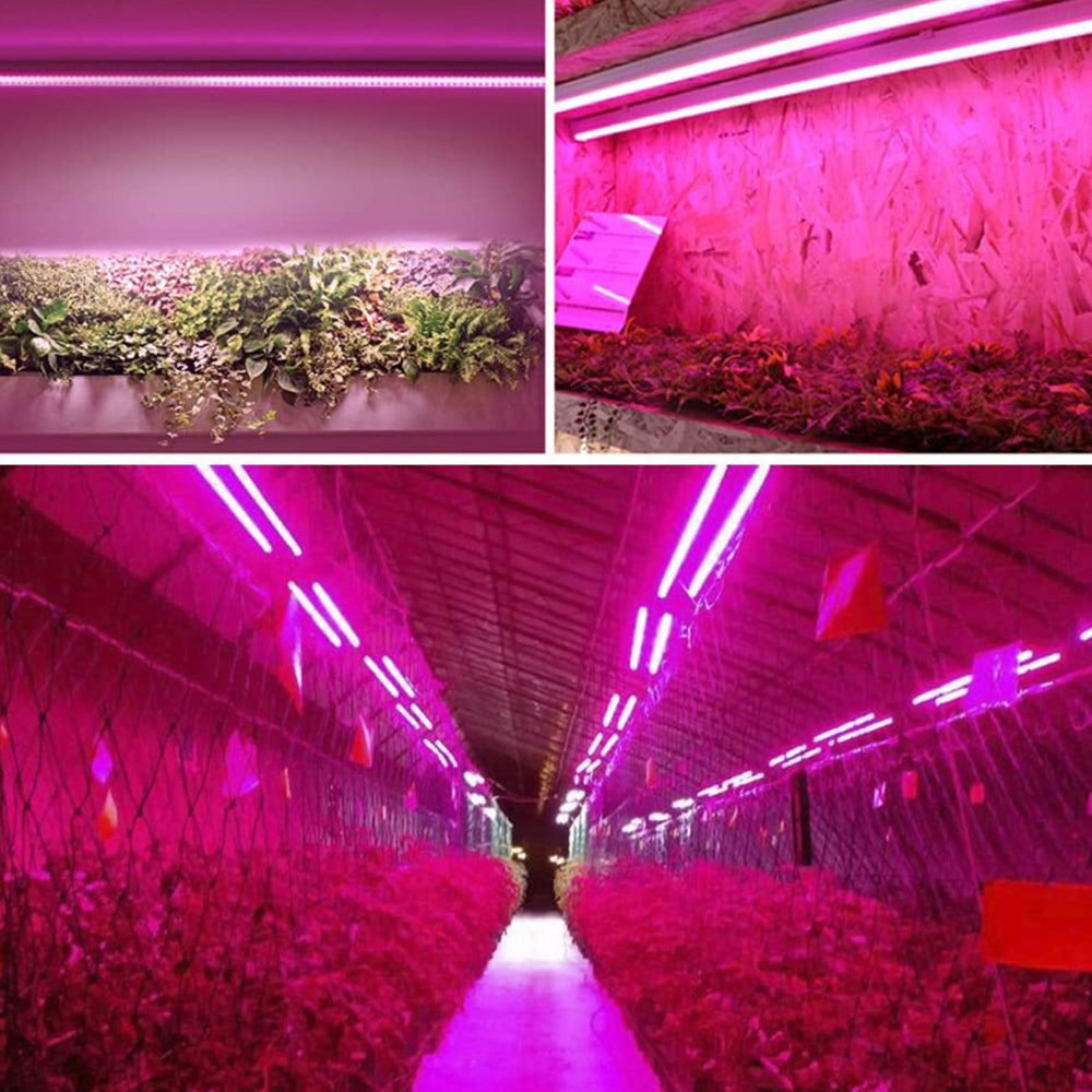 Full Spectrum LED Grow Light | Connectable Indoor Plant Panels