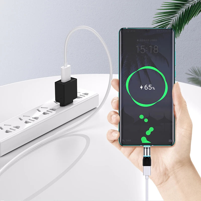Magnetic Micro to Type C Adapter | Lightning Converter for Devices