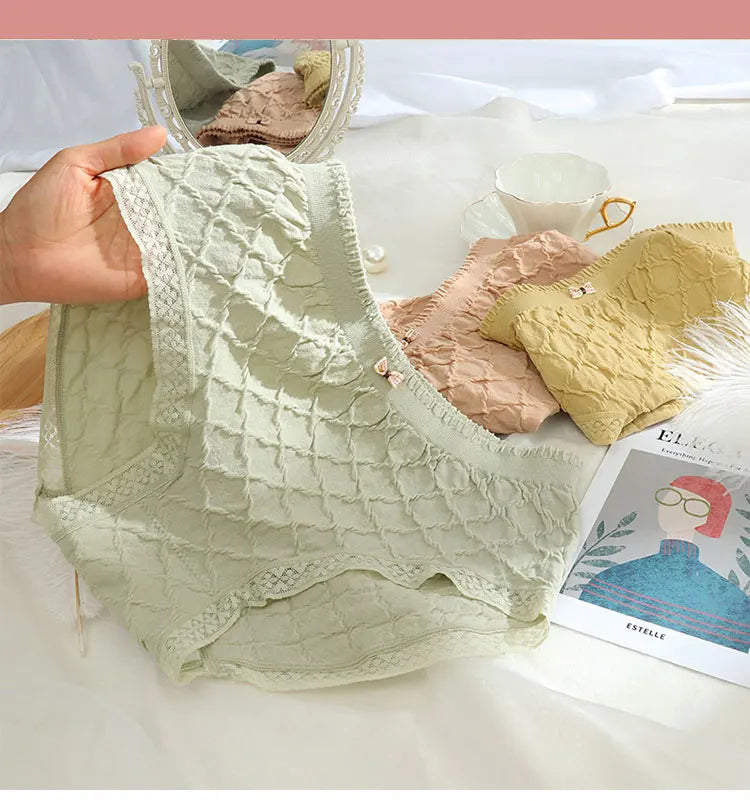 Plus Size Women's Lace Briefs | Summer Antibacterial Panties