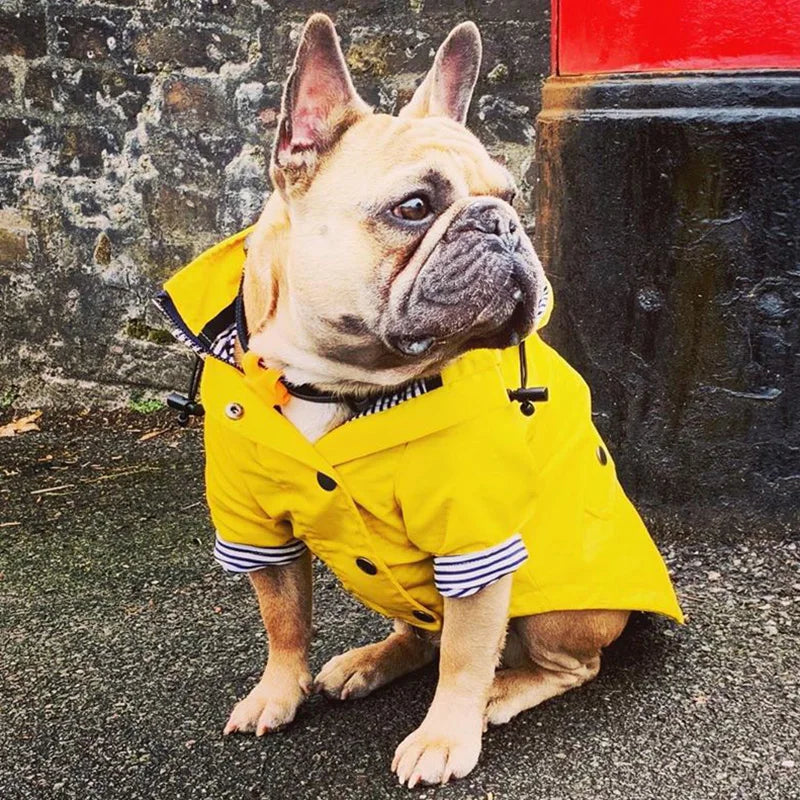 Stylish Waterproof Pet Rain Coat for Medium to Large Dogs