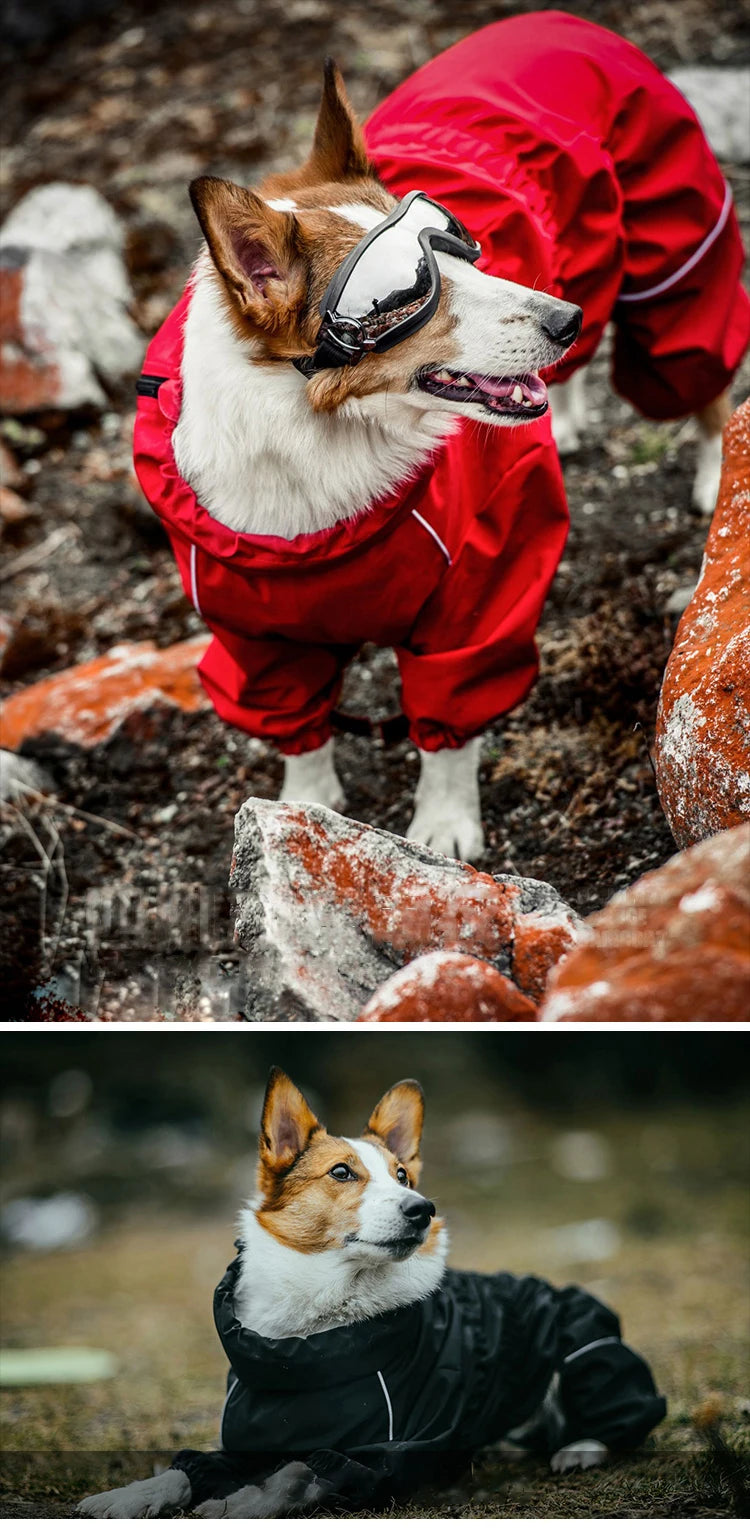 Waterproof Dog Outdoor Jacket | Winter Warm Reflective Raincoat
