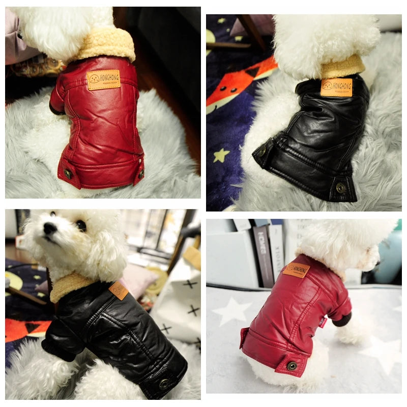 Cozy Leather Winter Pet Jacket | Warm Stylish Dog Coat