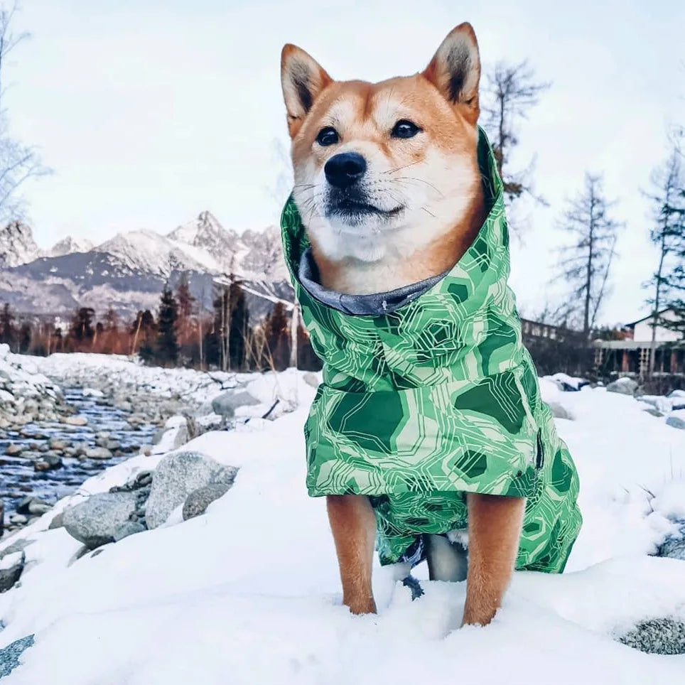 Waterproof Winter Dog Jacket | Cozy Warm Jacket for All Dogs