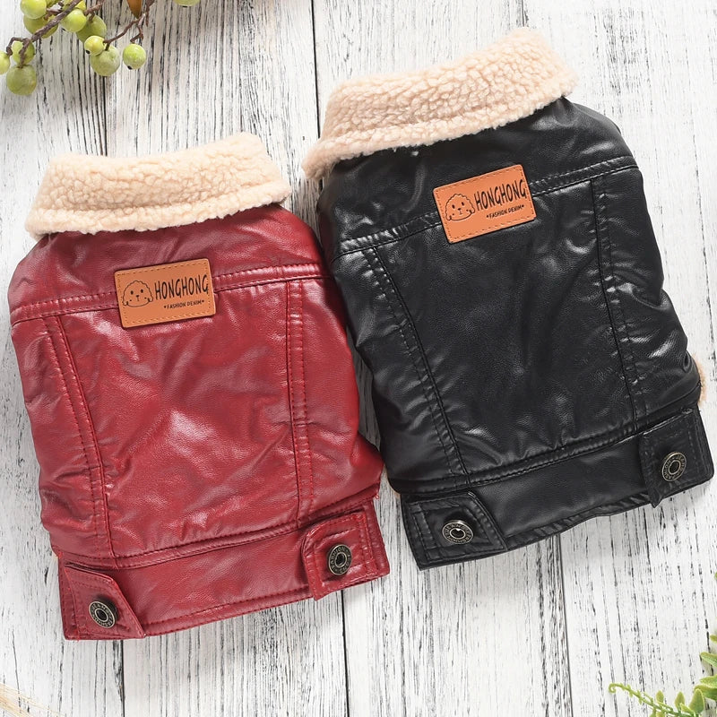 Cozy Leather Winter Pet Jacket | Warm Stylish Dog Coat