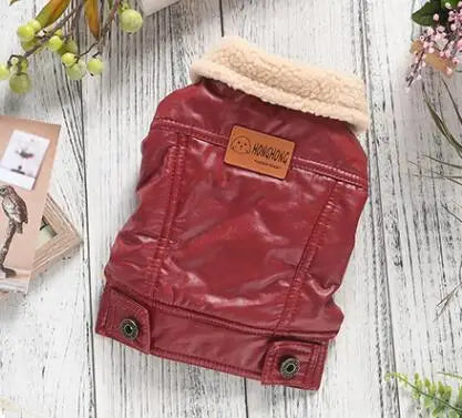 Cozy Leather Winter Pet Jacket | Warm Stylish Dog Coat