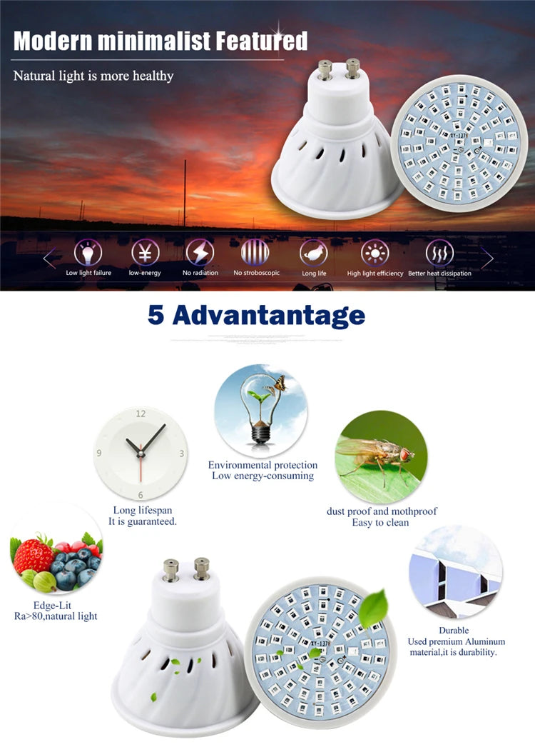 Full Spectrum LED Grow Light for Hydroponics & Greenhouses