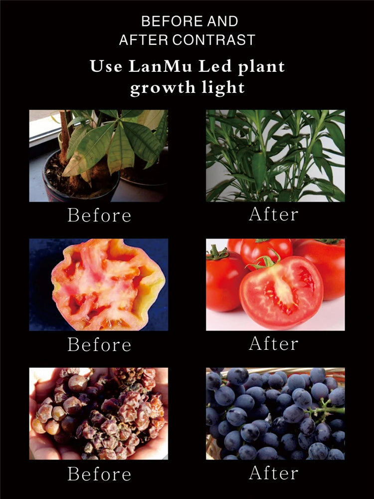 Full Spectrum LED Grow Light for Hydroponics & Greenhouses