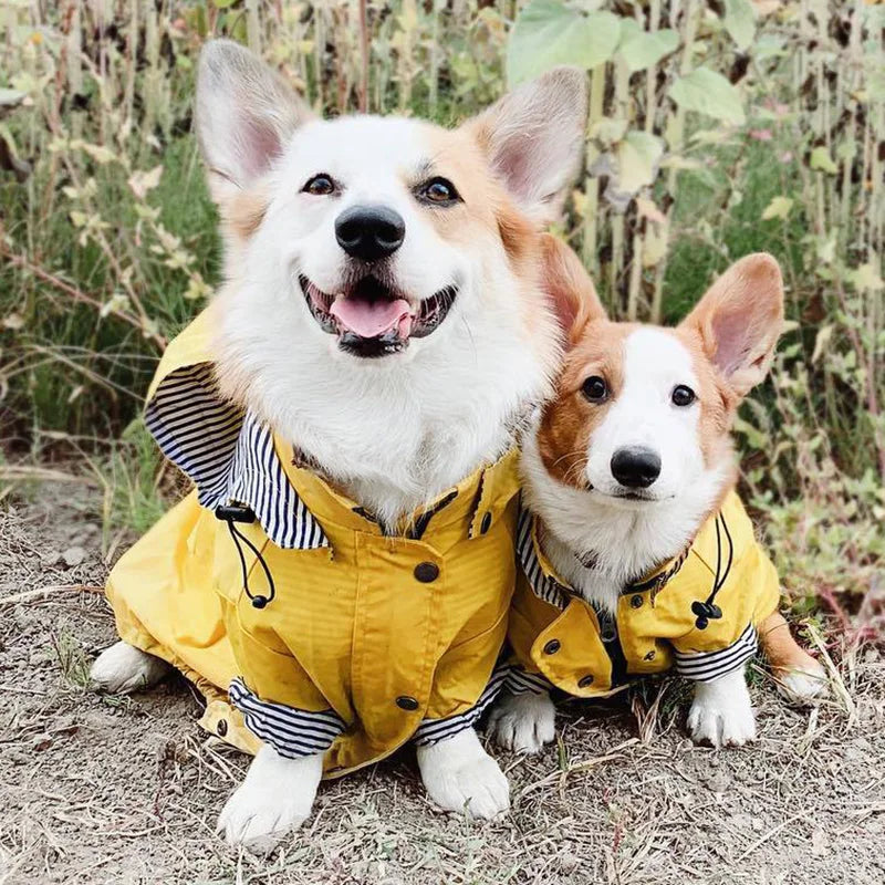 Stylish Waterproof Pet Rain Coat for Medium to Large Dogs