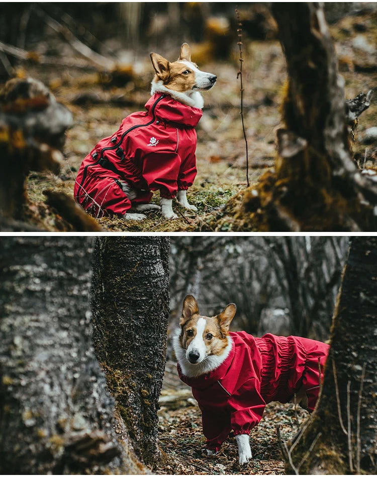 Waterproof Dog Outdoor Jacket | Winter Warm Reflective Raincoat