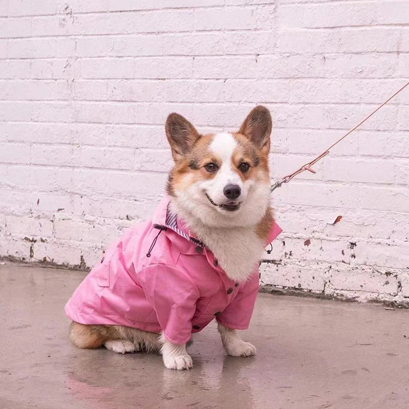Waterproof Dog Coat for All Breeds | Stylish Rain Jacket