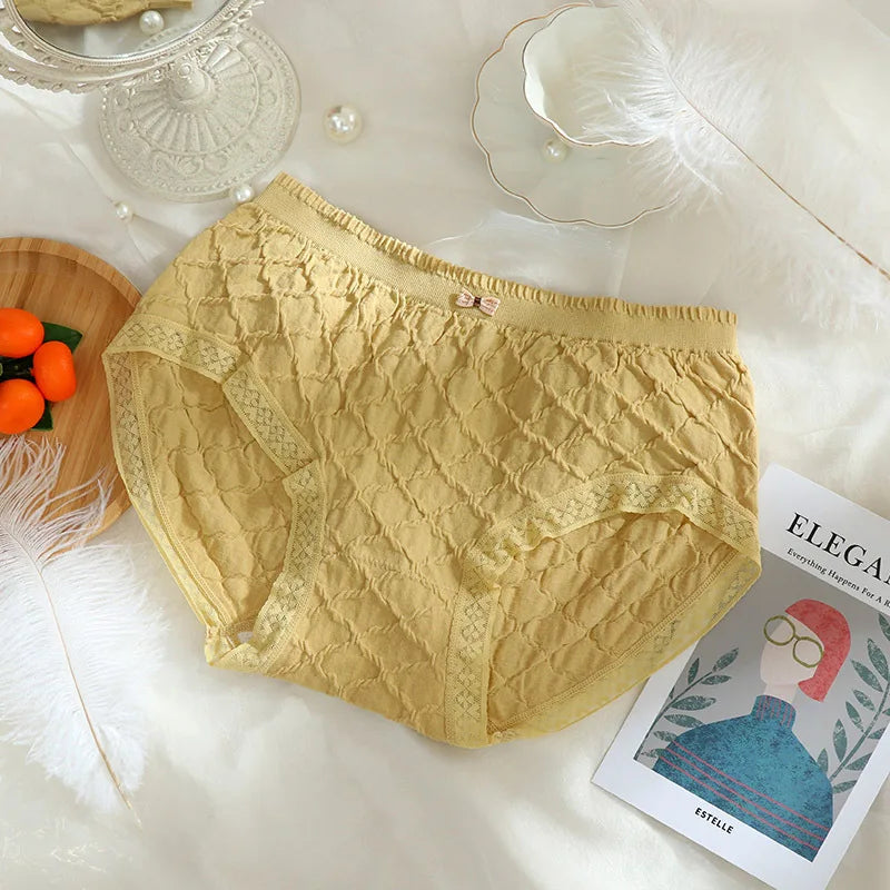 Plus Size Women's Lace Briefs | Summer Antibacterial Panties